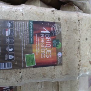 4 Briques forestières - Planète Terre - 10 lots de 4 briques